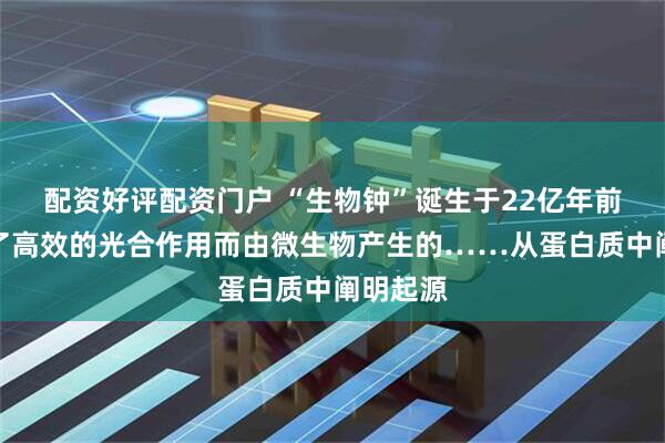 配资好评配资门户 “生物钟”诞生于22亿年前，是为了高效的光合作用而由微生物产生的……从蛋白质中阐明起源