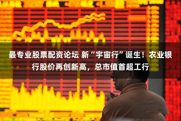 最专业股票配资论坛 新“宇宙行”诞生！农业银行股价再创新高，总市值首超工行